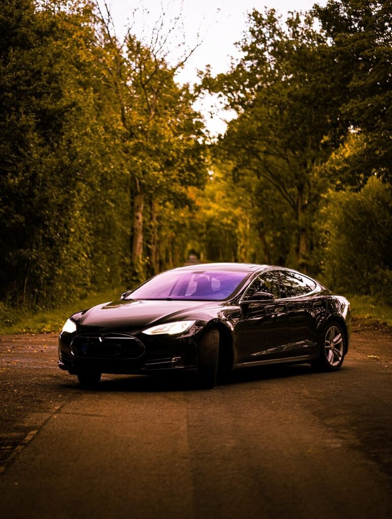 Are There Any Unique Features Or Technology Advancements In The Tesla Model S?