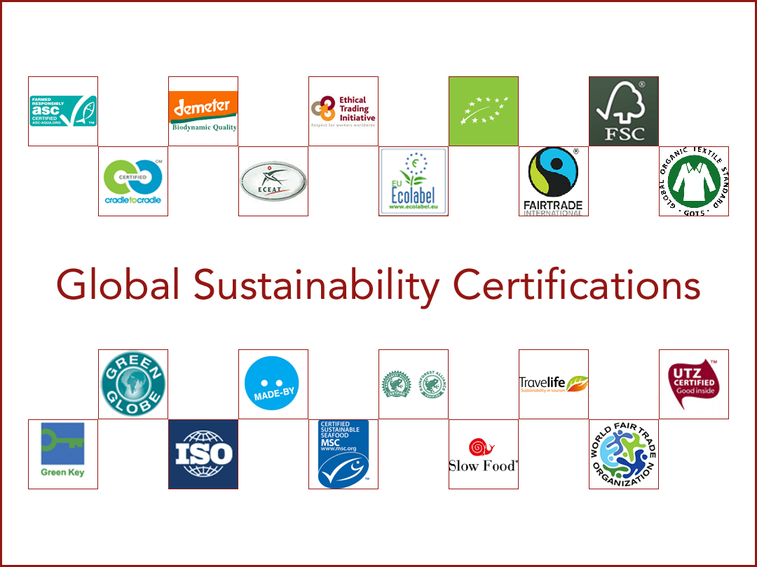 Are There Sustainability Certifications For Electric Vehicle Manufacturers?