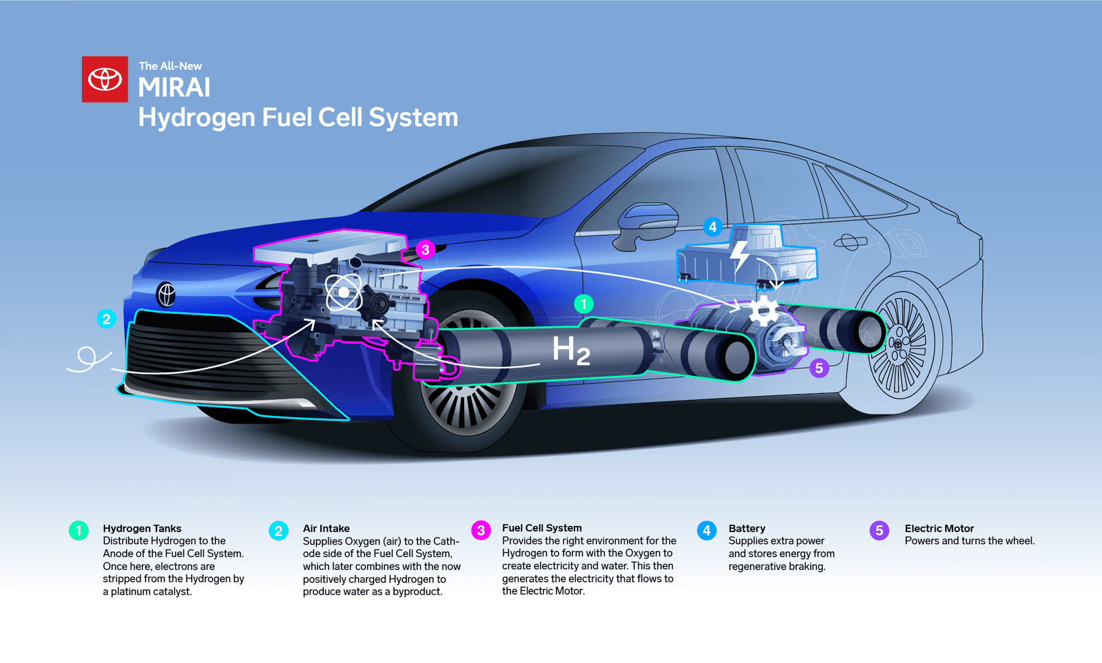 What Is The State Of Hydrogen Fuel Cell Technology For EVs?